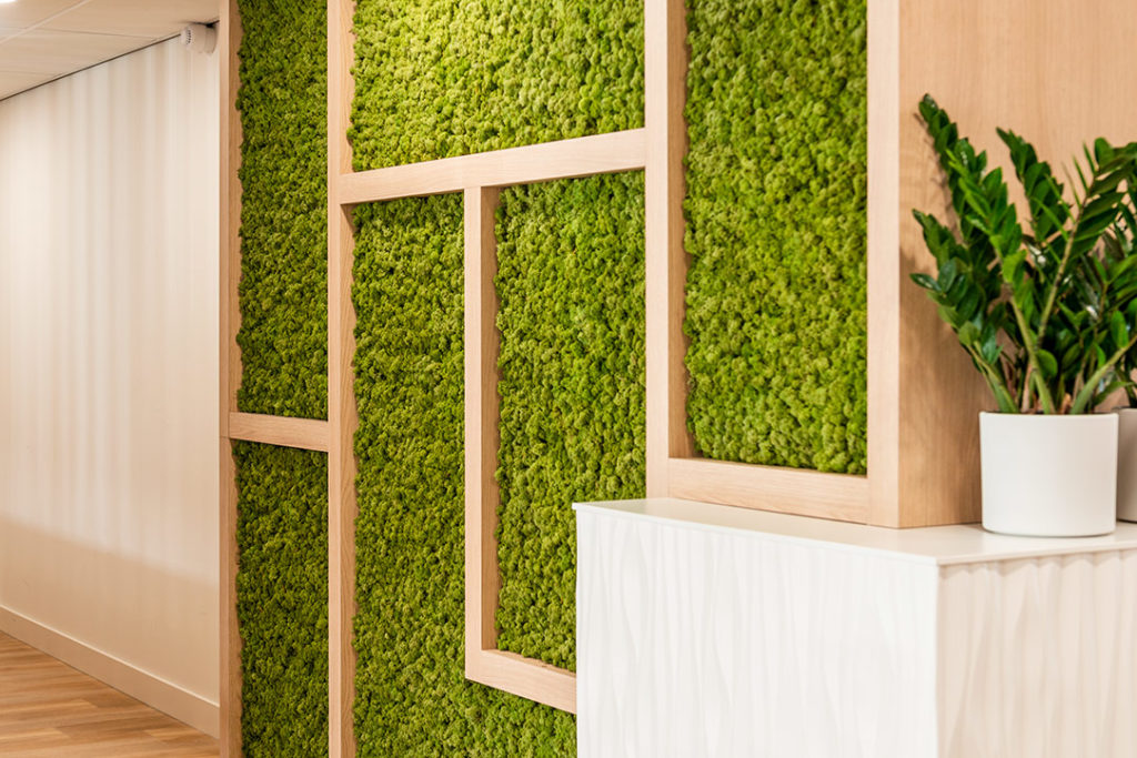 Natuurwand groen wit