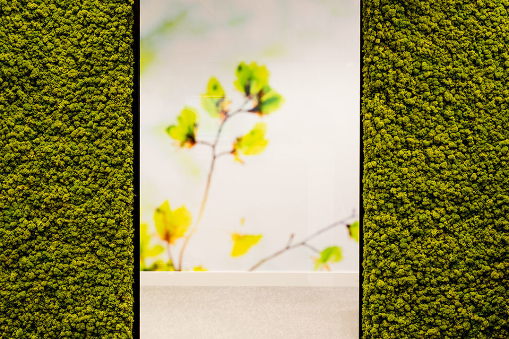 Natuurwand groen geel