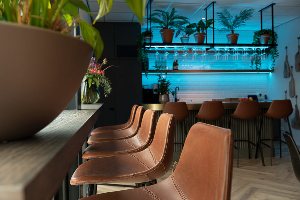 bar Feju bruin plant