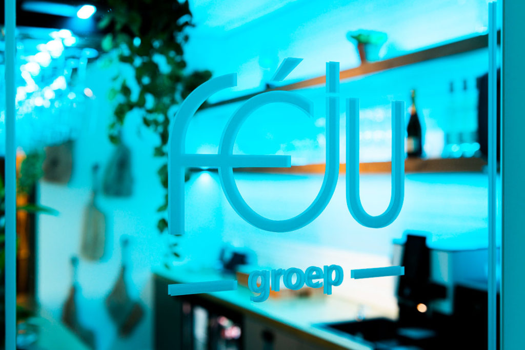 Feju groep logo deur