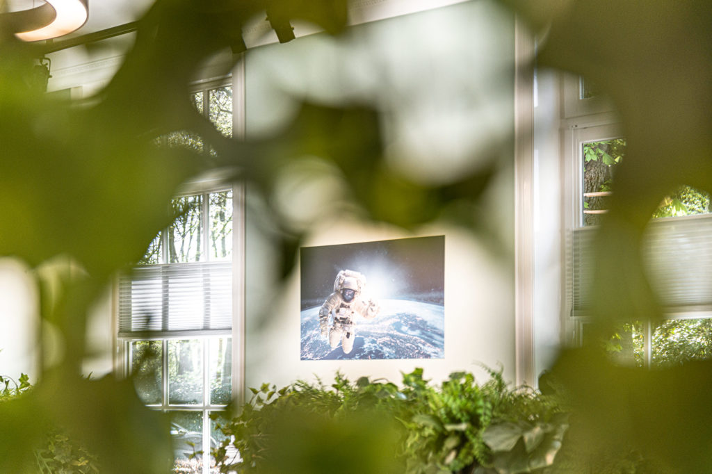 Beplanting in kantoortuin bij Aorta Business Intelligence