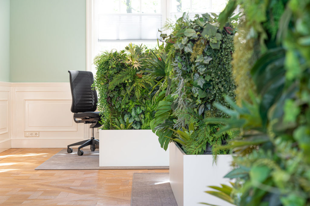 Kunstplanten Aorta Business Intelligence