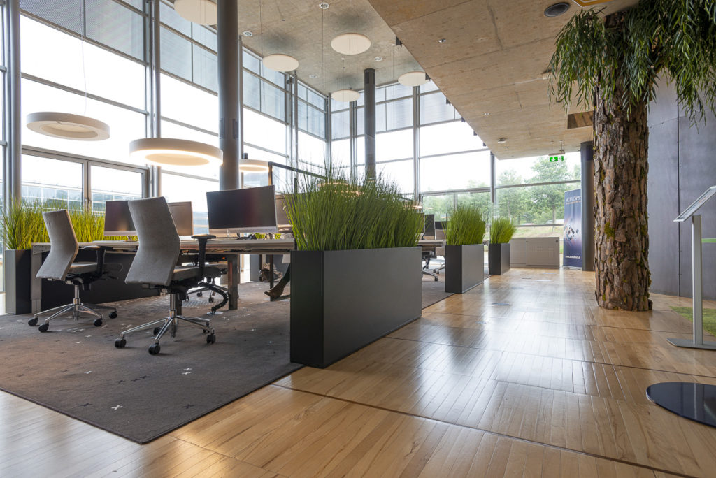 kantoorruimte open glas boom groen