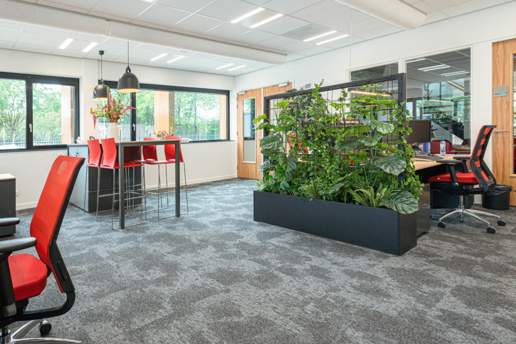 kantine plant rood stoel laag hoog