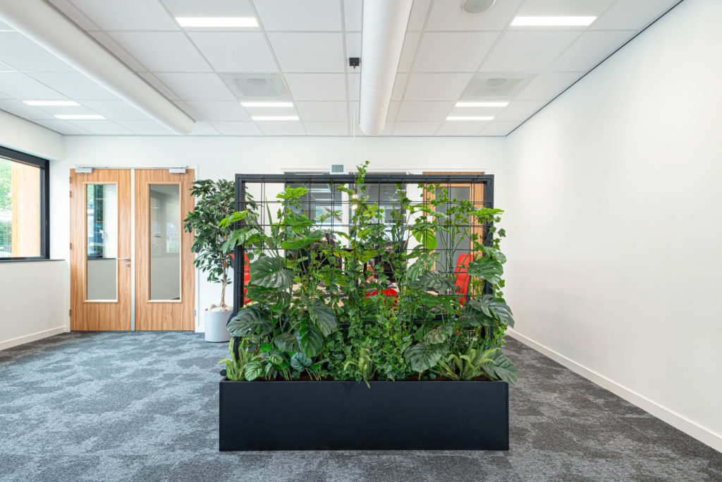 plant wand zwart