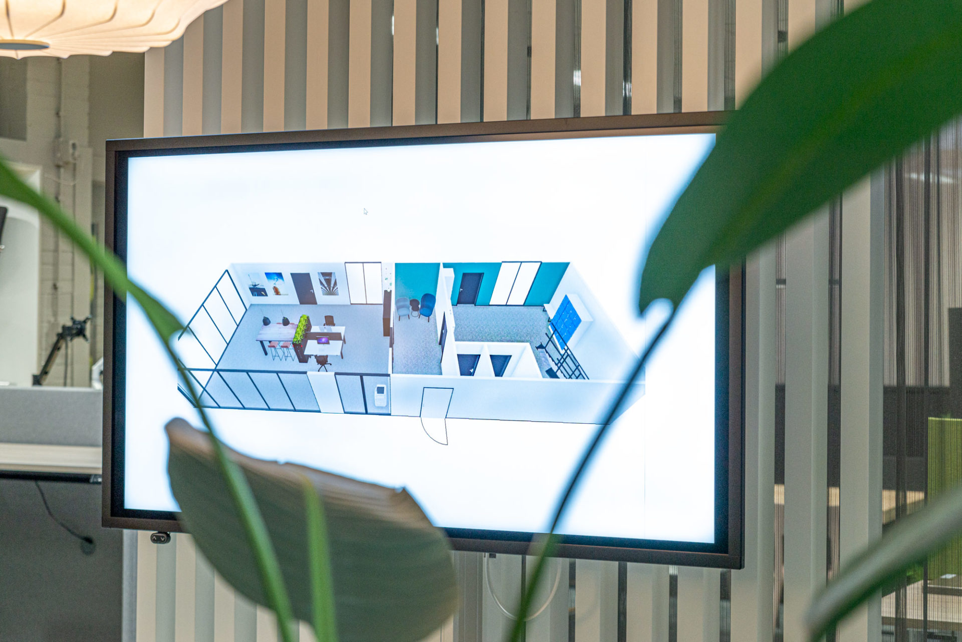 Legamaster tv ontwerp plant
